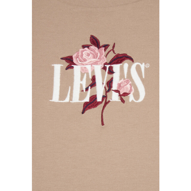 Levi's graphic boxy t-shirt single rose a8804 0067 06011.820.0068 large