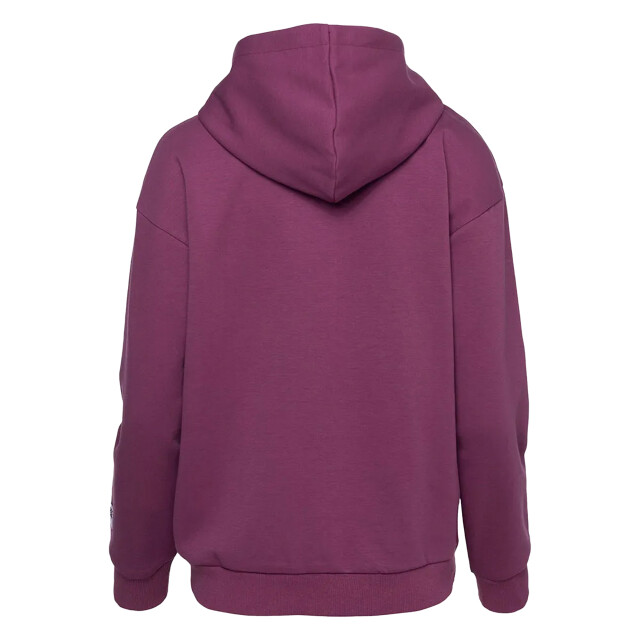 Hi-Tec Dames rigel full zip hoodie UTIG3342_amaranth large Hi-Tec Dames rigel full zip hoodie UTIG3342_amaranth large