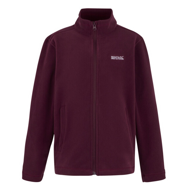 Regatta Groot buitenshuis kinderen/kinderen king ii lichtgewicht full zip fleece jasje UTRG565_fig large