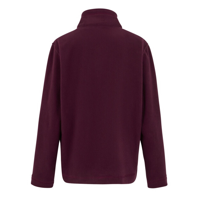 Regatta Groot buitenshuis kinderen/kinderen king ii lichtgewicht full zip fleece jasje UTRG565_fig large