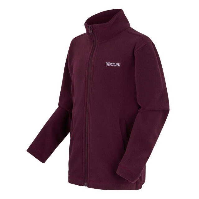 Regatta Groot buitenshuis kinderen/kinderen king ii lichtgewicht full zip fleece jasje UTRG565_fig large