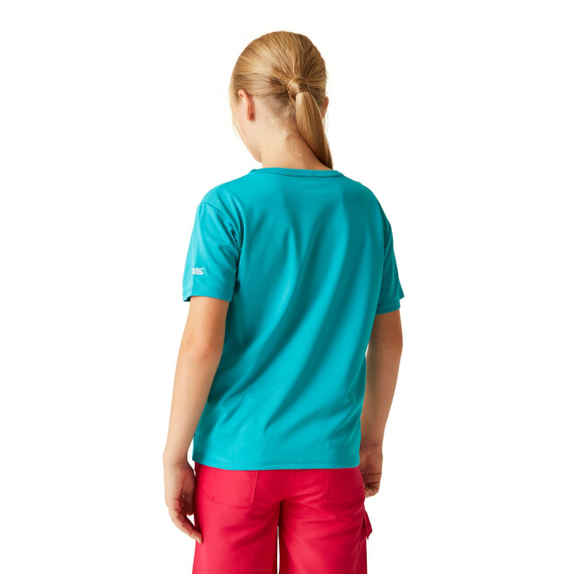 Regatta Kinderen/kinderen alvardo viii hart t-shirt UTRG9721_tahoeblue large