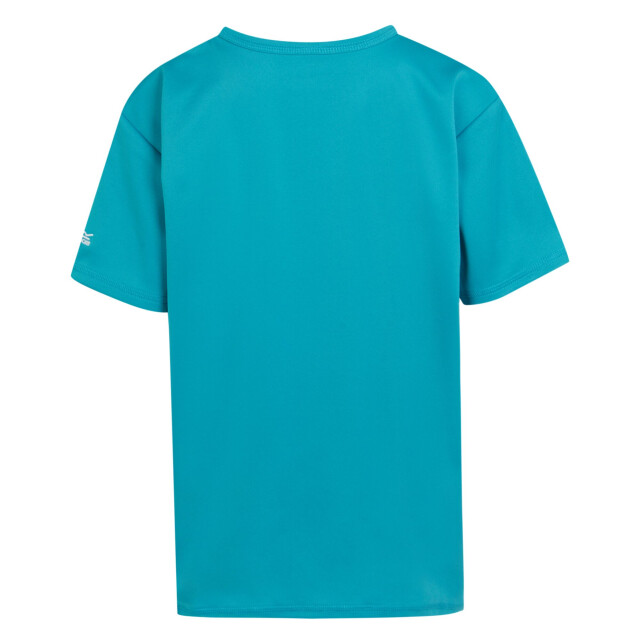 Regatta Kinderen/kinderen alvardo viii hart t-shirt UTRG9721_tahoeblue large