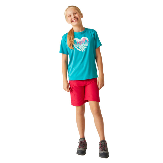 Regatta Kinderen/kinderen alvardo viii hart t-shirt UTRG9721_tahoeblue large