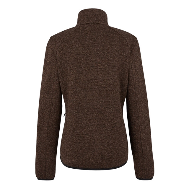 Regatta Dames newhill full zip fleecejack UTRG12326_mocha large