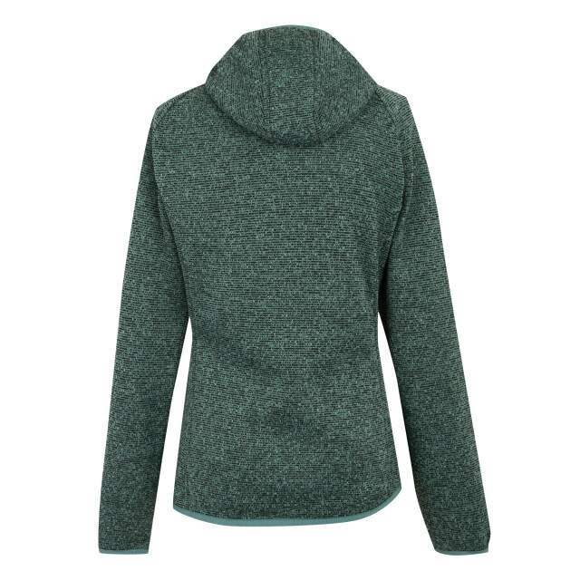 Regatta Dames newhill fleecejas met capuchon UTRG12331_greenhaze large Regatta Dames newhill fleecejas met capuchon UTRG12331_greenhaze large