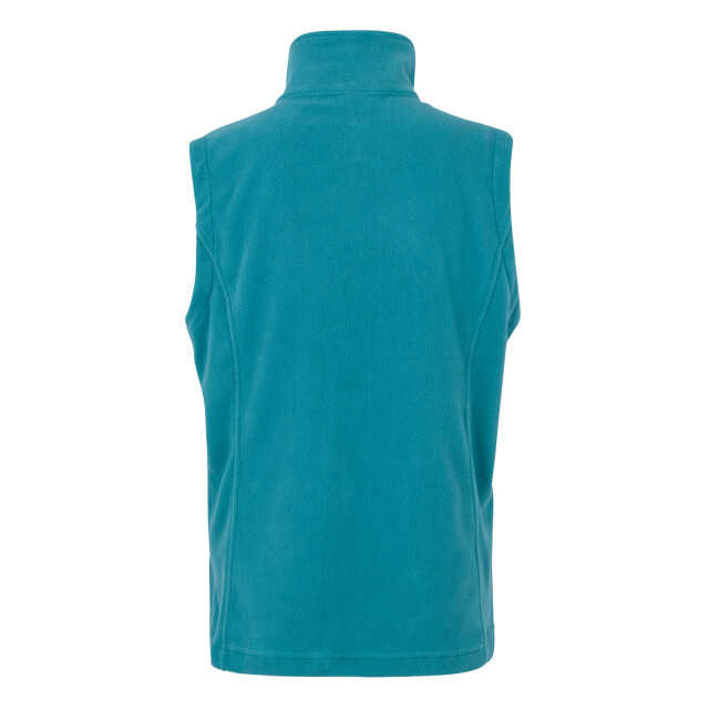 Regatta Geweldige outdoors dames outdoor klassieke sweatness ii bodywarmer UTRG965_stormblue large