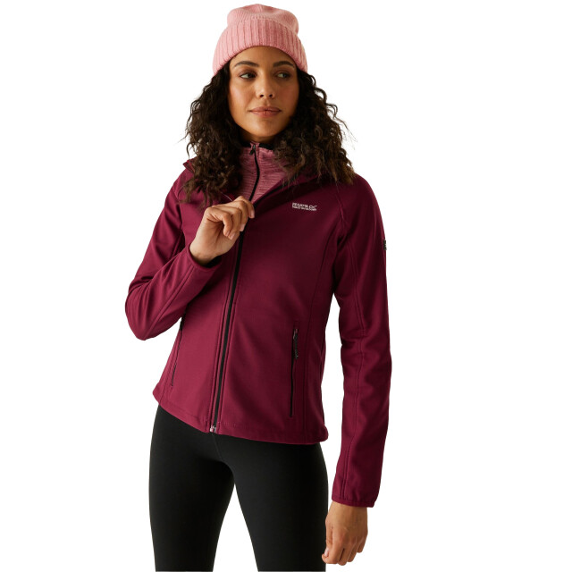 Regatta Dames soft shell-jas UTRG6432_darkpimento large