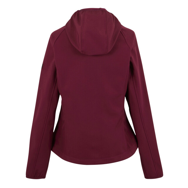 Regatta Dames soft shell-jas UTRG6432_darkpimento large