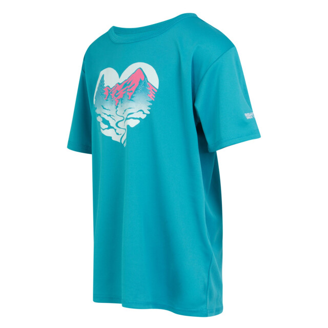 Regatta Kinderen/kinderen alvardo viii hart t-shirt UTRG9721_tahoeblue large