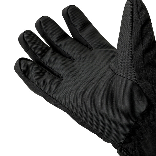 Dare2b Heren pinnacle waterdichte skihandschoenen UTRG12300_black large