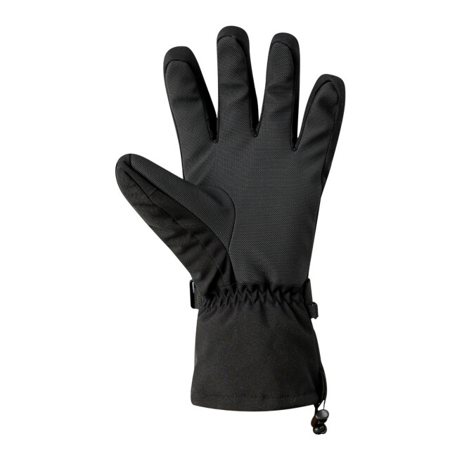 Dare2b Heren pinnacle waterdichte skihandschoenen UTRG12300_black large