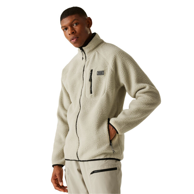 Dare2b Heren camber gerecycled polyester fleece UTRG12266_abbeystone large