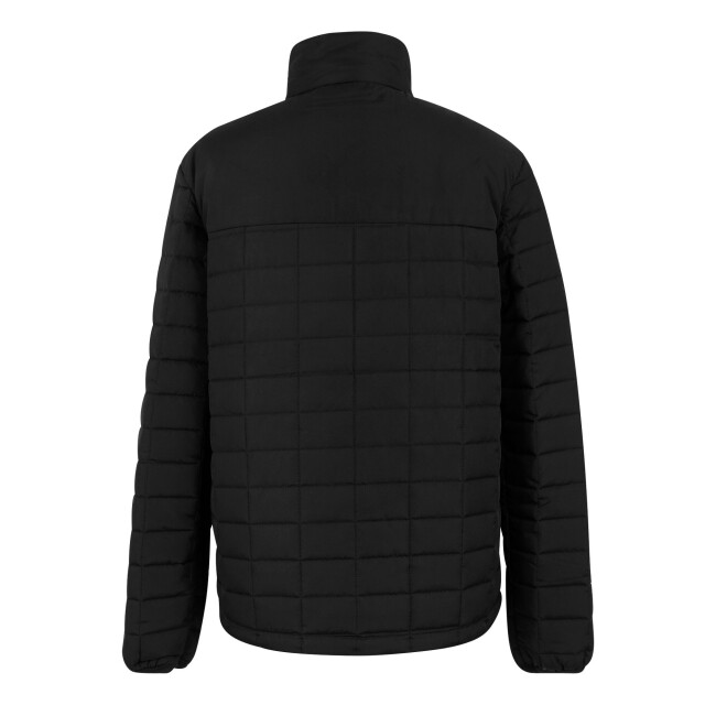 Regatta Dames haire gewatteerde jas UTRG12281_black large