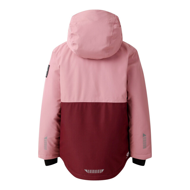 Dare2b Kinder/kids freehand ii ski jas UTRG12243_lilas large