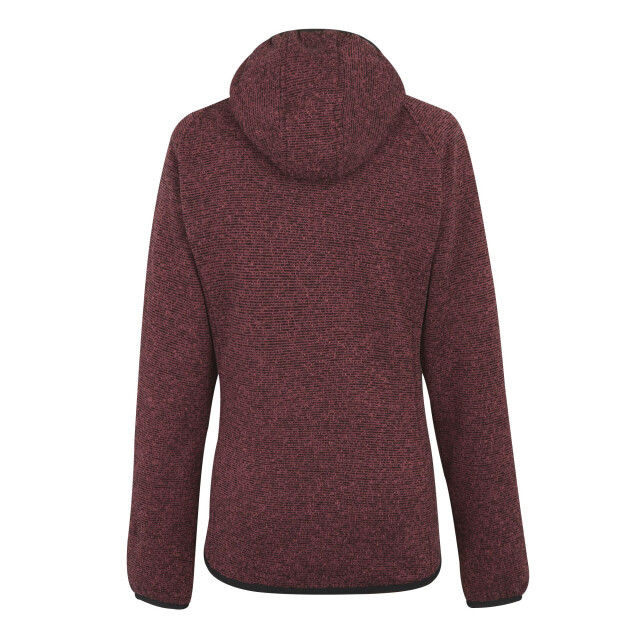 Regatta Dames newhill fleecejas met capuchon UTRG12331_dustyrose large