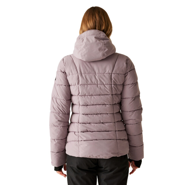 Dare2b Dames blindside skijas UTRG12299_heather large