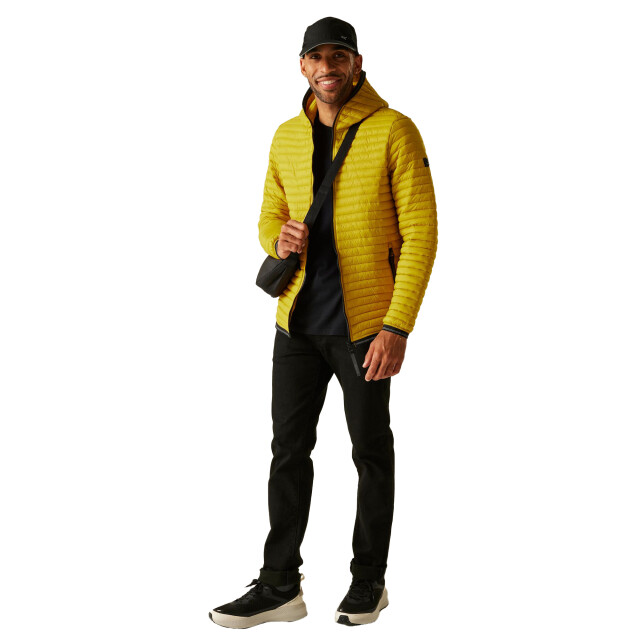 Regatta Heren rigain gewatteerde jas UTRG12162_gold large