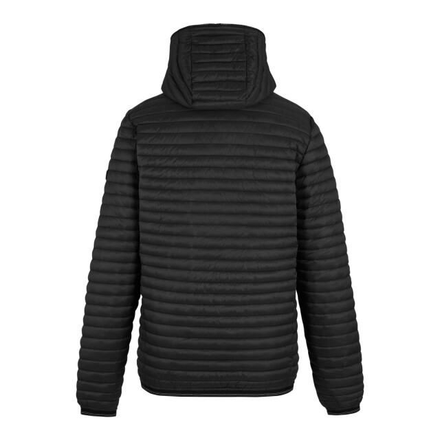 Regatta Heren rigain gewatteerde jas UTRG12162_black large