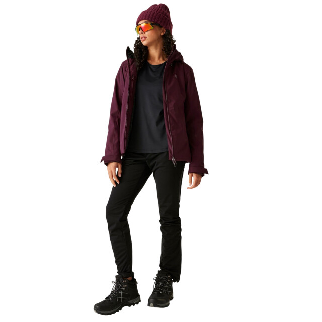 Dare2b Dames torrek blazen geïsoleerde waterdichte ski-jas UTRG12158_fig large
