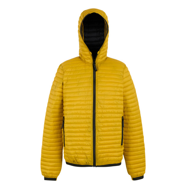 Regatta Heren rigain gewatteerde jas UTRG12162_gold large