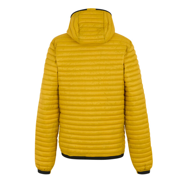 Regatta Heren rigain gewatteerde jas UTRG12162_gold large