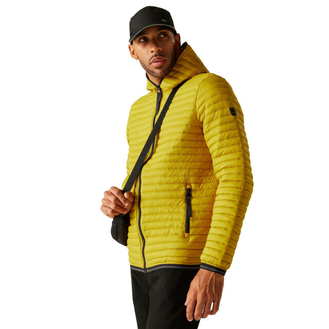 Regatta Heren rigain gewatteerde jas UTRG12162_gold large
