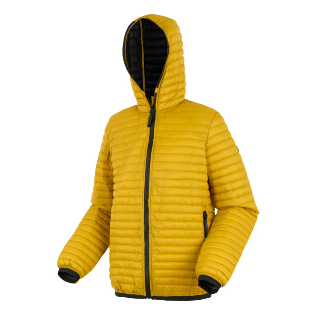 Regatta Heren rigain gewatteerde jas UTRG12162_gold large