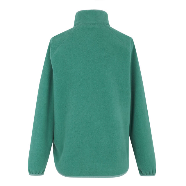 Regatta Dames frankie quarter zip fleece top UTRG12146_sprucegreen large