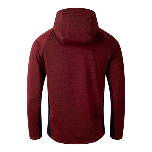 Dare2b Heren assimilate iii core stretch midlayer UTRG12154_figblack large