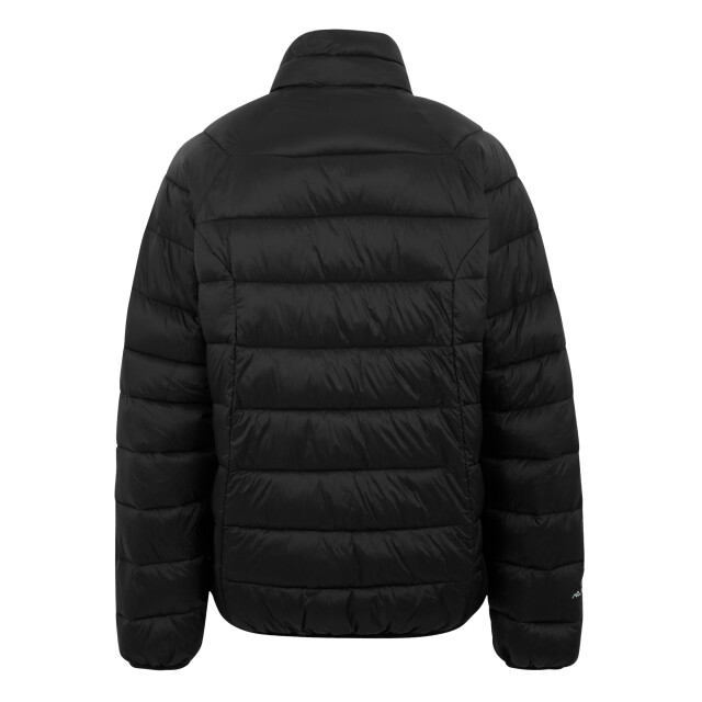 Regatta Heren dalent gewatteerde jas UTRG12126_black large