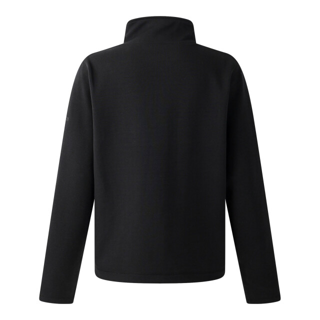 Dare2b Dames wander quarter zip sweatshirt UTRG12095_black large
