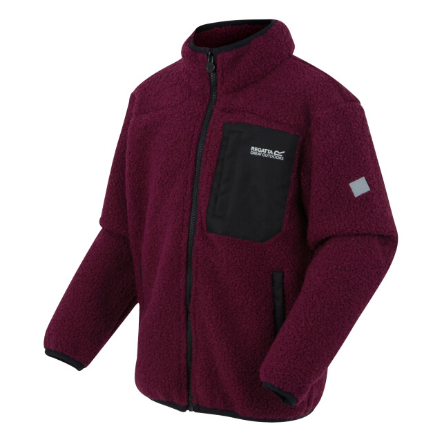 Regatta Kinder/kids frankie full zip fleecejack UTRG12084_darkpimento large