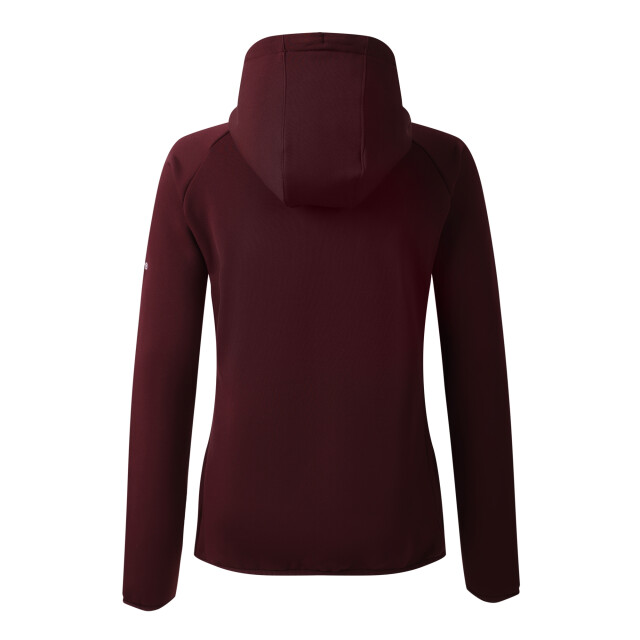 Dare2b Dames torrek flexy hybride jas UTRG12076_fig large