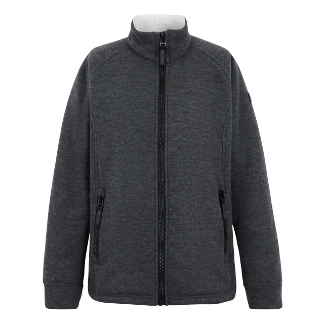 Regatta Dames emilde full zip fleecejack UTRG12085_sealgrey large