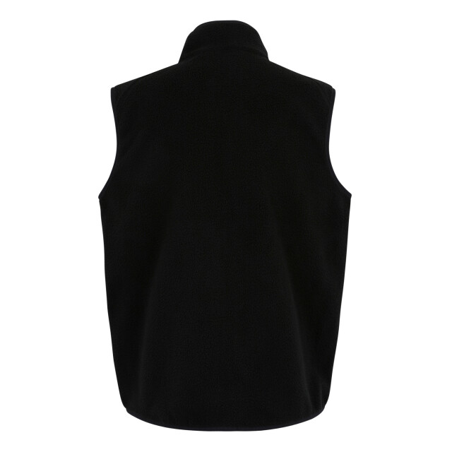 Regatta Heren frankie borg body warmer UTRG12064_black large