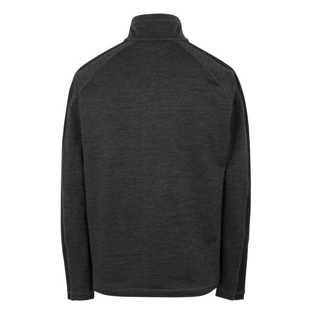 Regatta Heren hepley half zip fleecejack UTRG12097_ashblack large