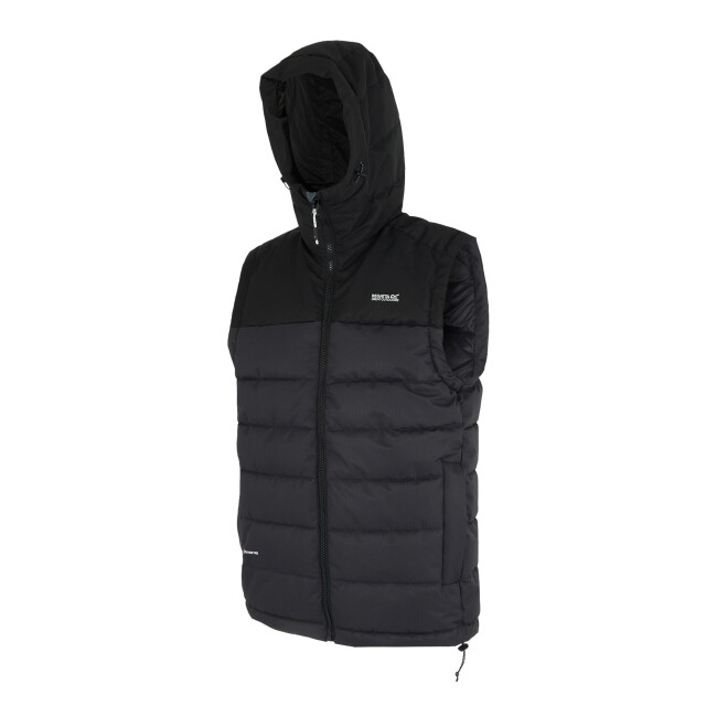 Regatta Heren aldthorn body warmer UTRG12090_ashblack large