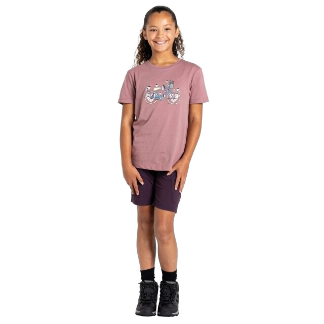 Dare2b Trailblazer ii fietsshirt voor kinderen/kinderen UTRG11760_mauve large
