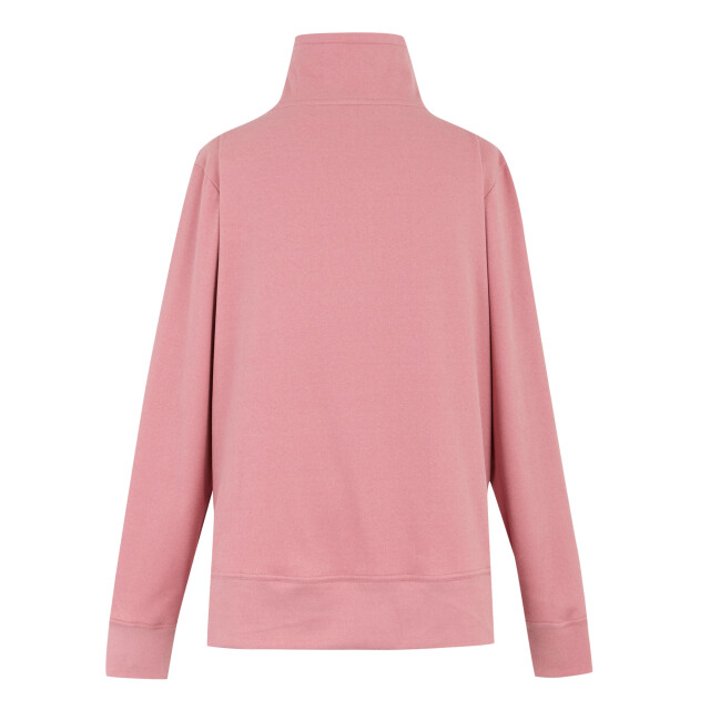 Regatta Dames demmi quarter zip fleece top UTRG12072_dustyrose large