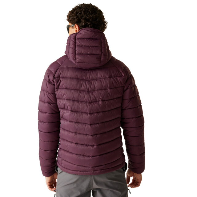 Dare2b Heren torrek mountain gewatteerde jas UTRG11275_fig large