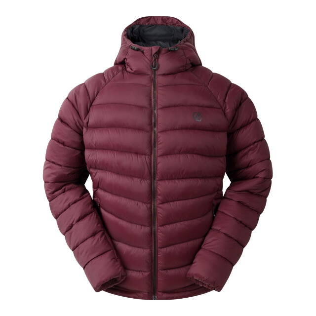Dare2b Heren torrek mountain gewatteerde jas UTRG11275_fig large