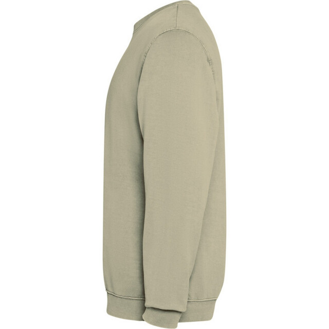 Roly Unisex jaya crew hals sweatshirt voor volwassenen UTPF4896_khaki large