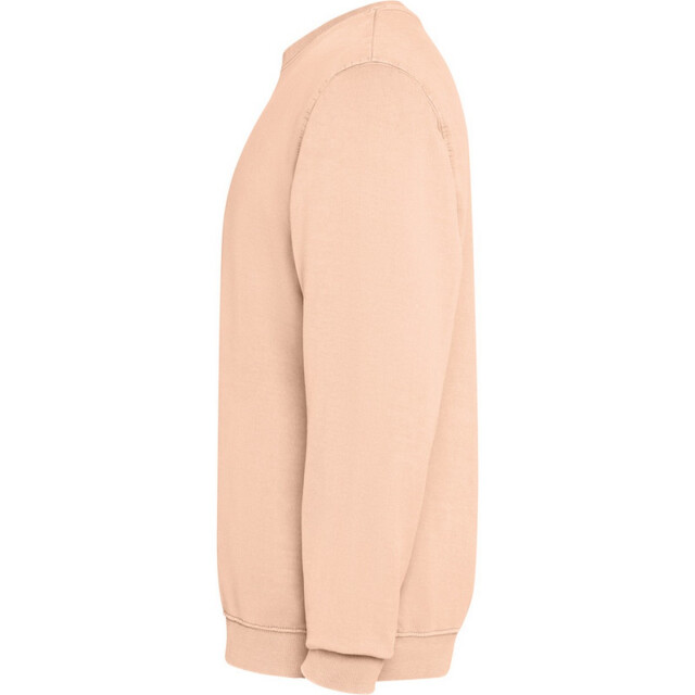 Roly Unisex jaya crew hals sweatshirt voor volwassenen UTPF4896_lightorange large
