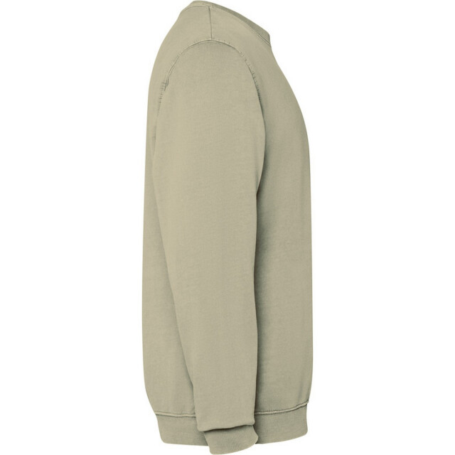 Roly Unisex jaya crew hals sweatshirt voor volwassenen UTPF4896_khaki large