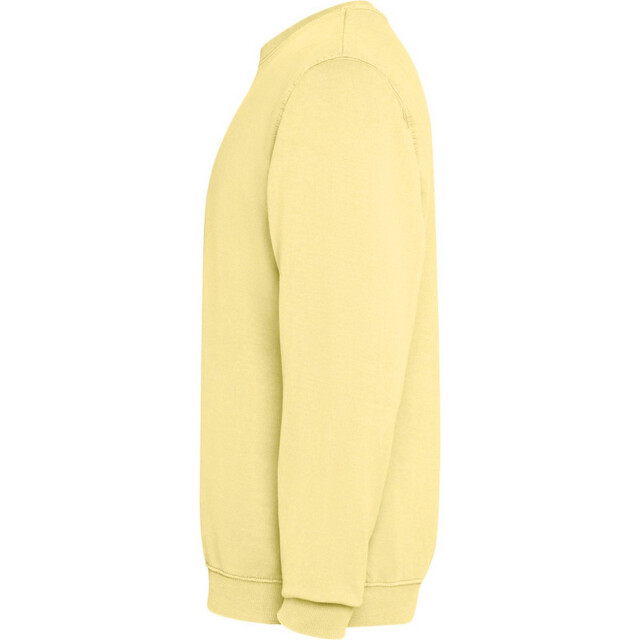 Roly Unisex jaya crew hals sweatshirt voor volwassenen UTPF4896_yellow large