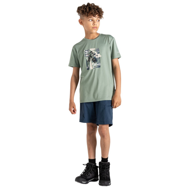 Dare2b Kinderen/kinderen amuse ii aap t-shirt UTRG10262_lilypad large Dare2b Kinderen/kinderen amuse ii aap t-shirt UTRG10262_lilypad large