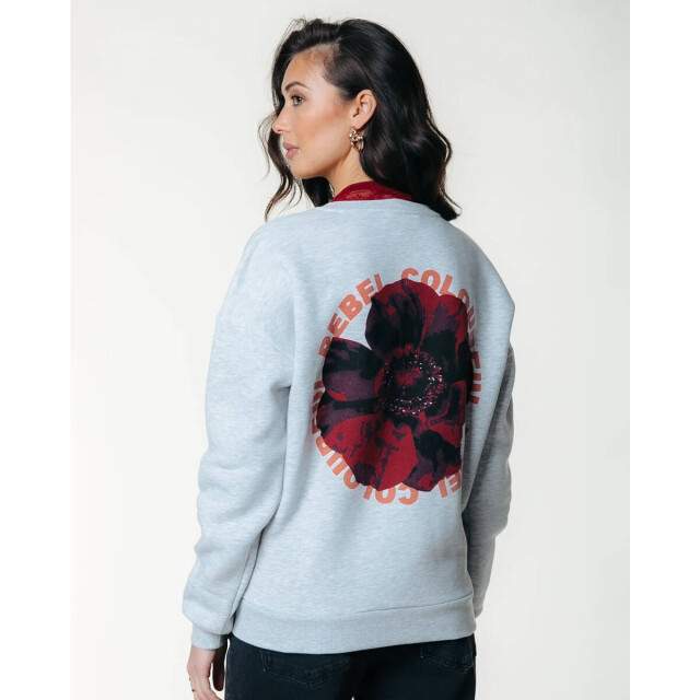 Colourful Rebel Sweat ws417181 cr Colourful Rebel Sweat WS417181 CR large