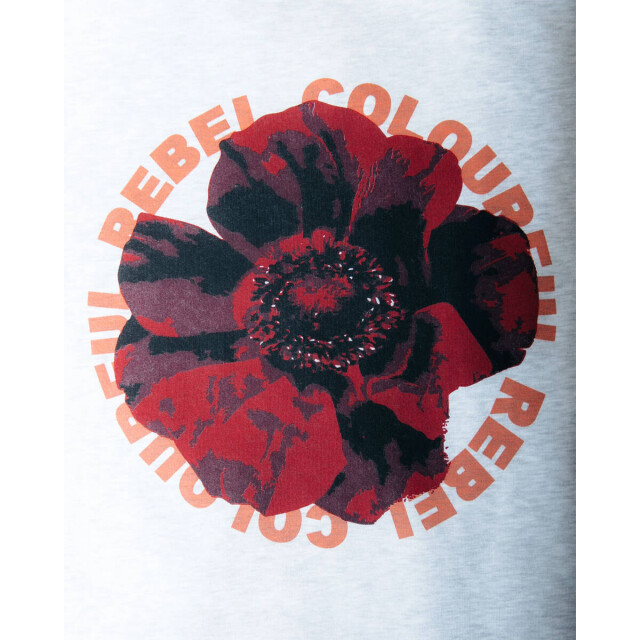 Colourful Rebel Sweat ws417181 cr Colourful Rebel Sweat WS417181 CR large