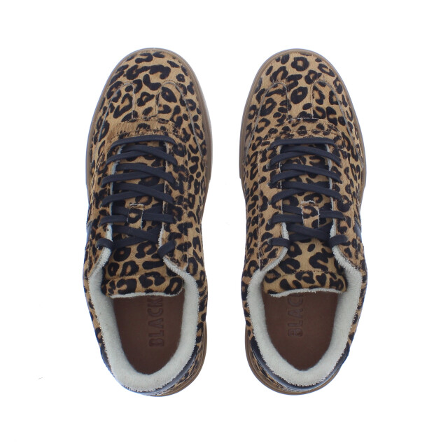 Blackstone 110373 Sneakers Beige 110373 large